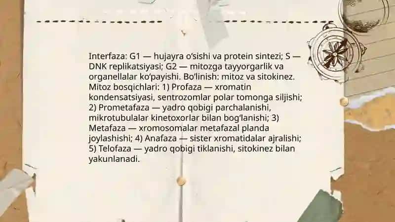 Hujayralarning mitotik va hayotiy sikli 3