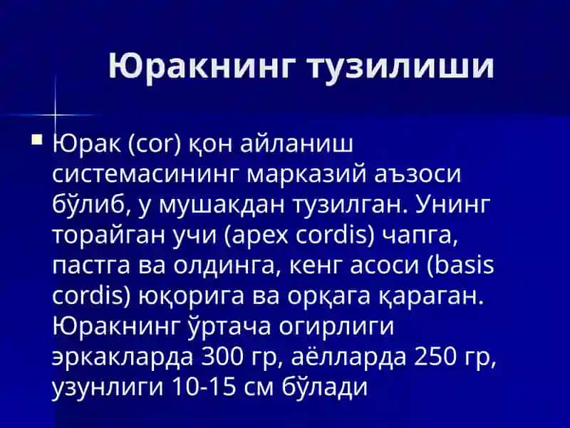Юрак, қон айланиш доиралари, юракнинг ёшга қараб ўзгариши 3