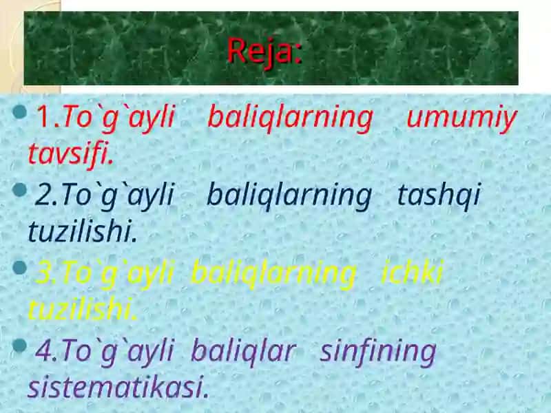 TOG‘AYLI BALIQLAR (CHONDRICHTHUES) SINFI 3