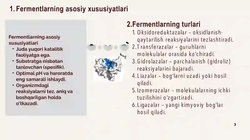 Fermentlarning Tibbiyotda Qo‘llanilishi 3
