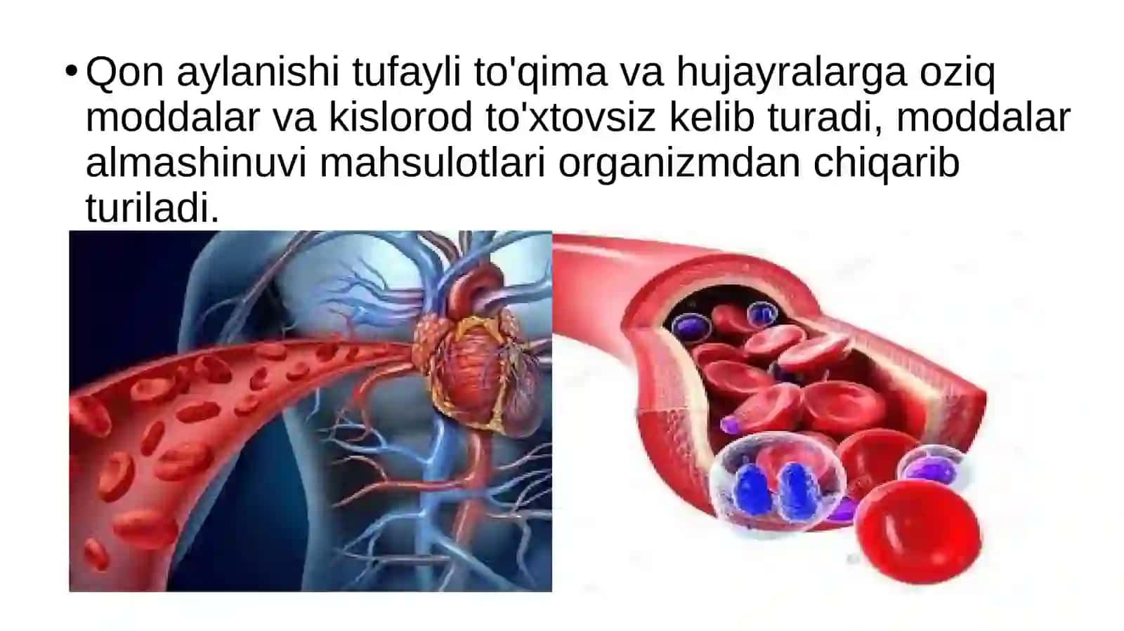 Biologiya 3