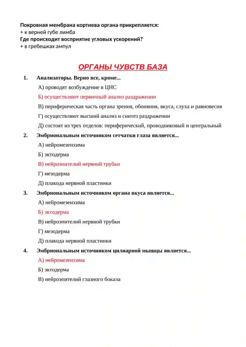 Слуховой гребешок 3