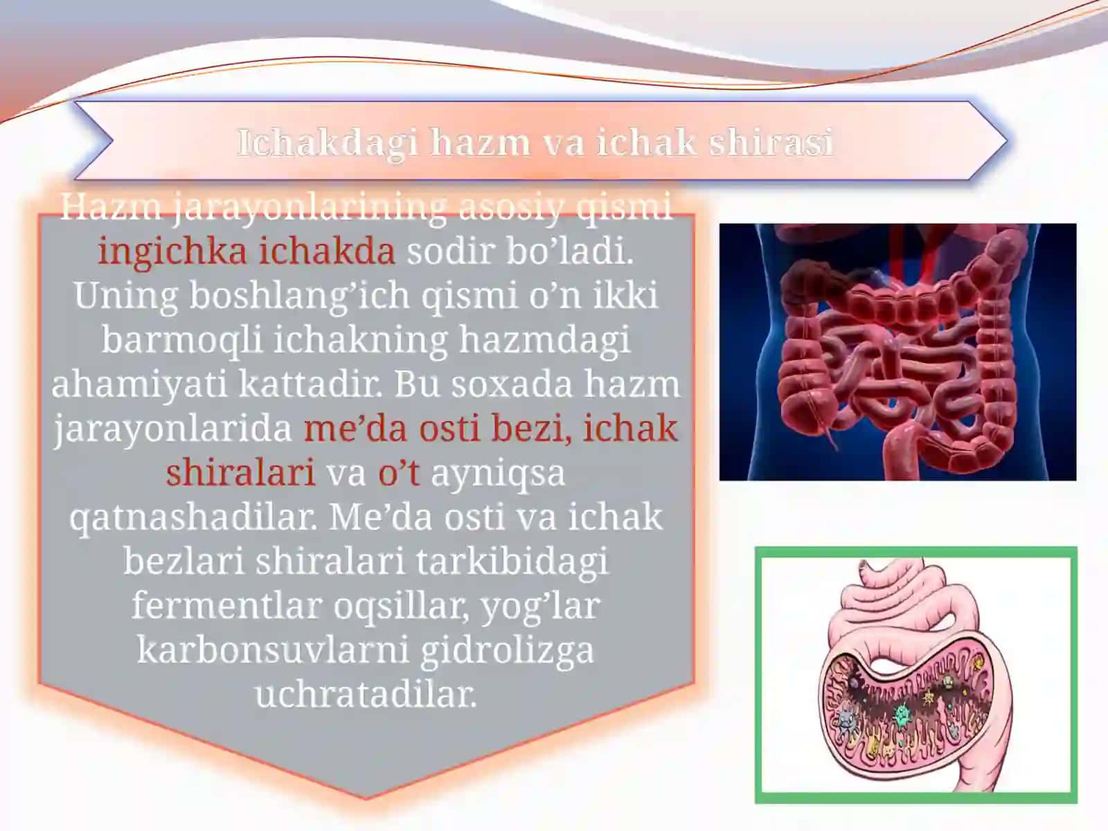 "Ichaklar dagi hazm" 3