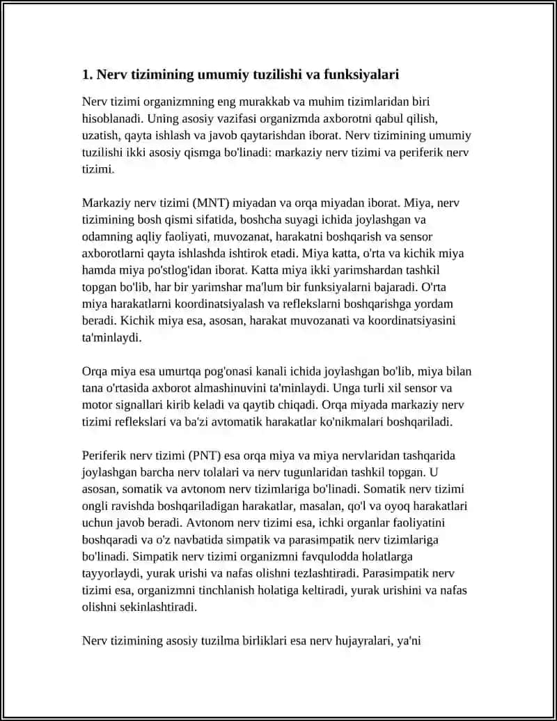 NERV SISTEMASI 3