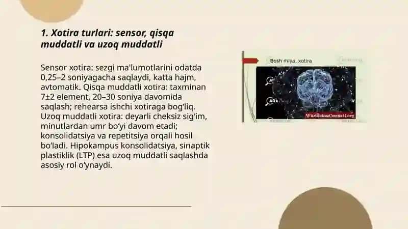Xotira mexanizmlari 3