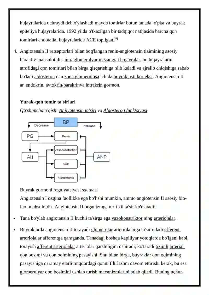Renin-angiotensin tizimi 3