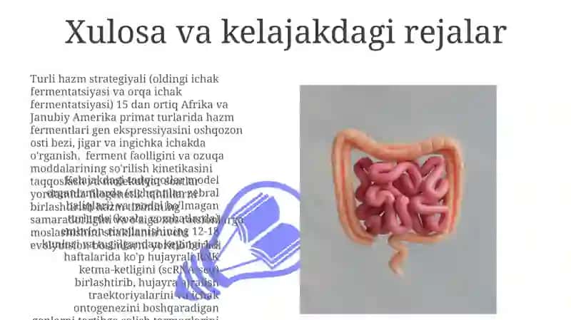 Hazm tizimi onto-filogenezi 3