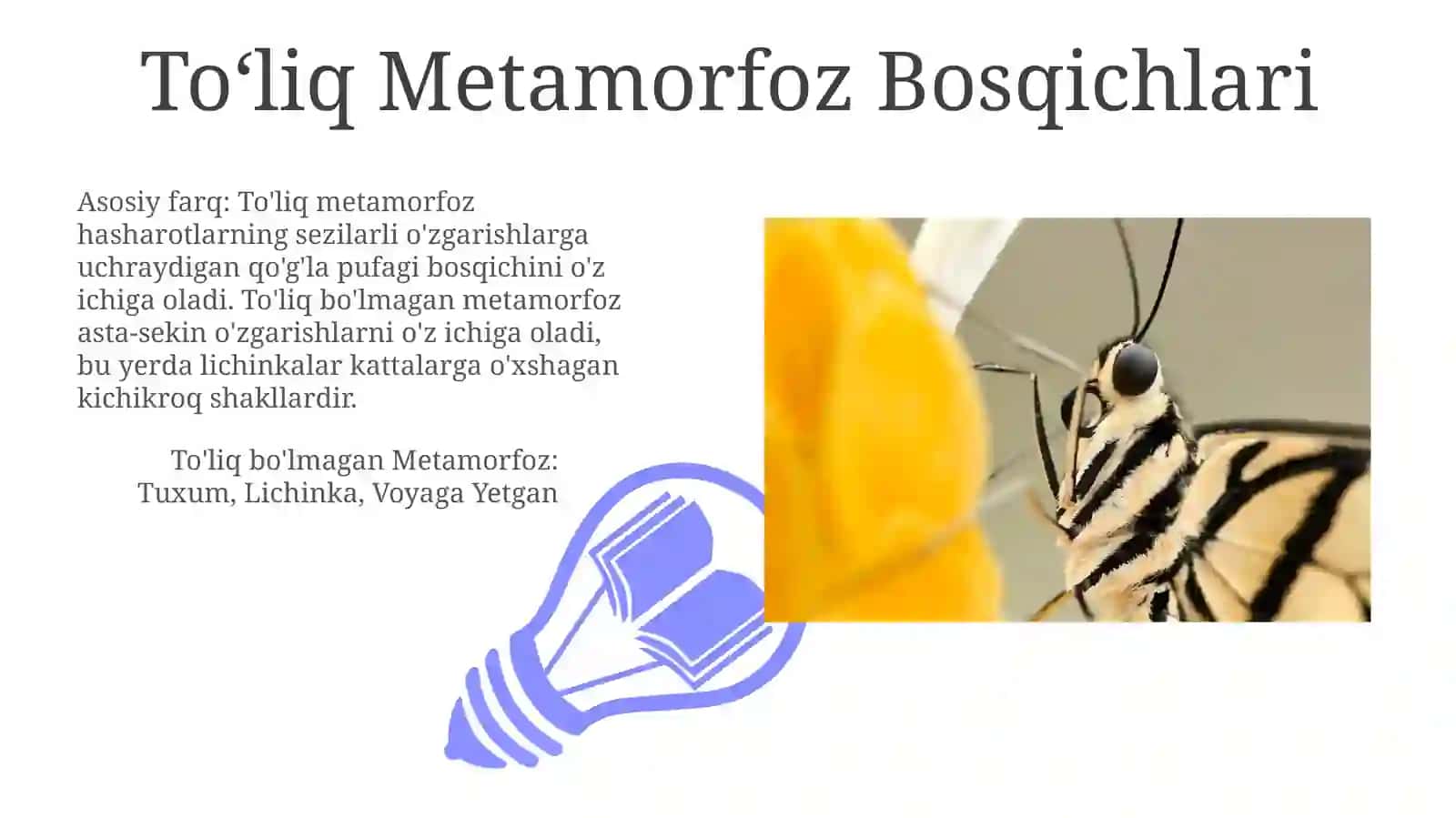To'liq bo'lmagan Metamorfoz 3