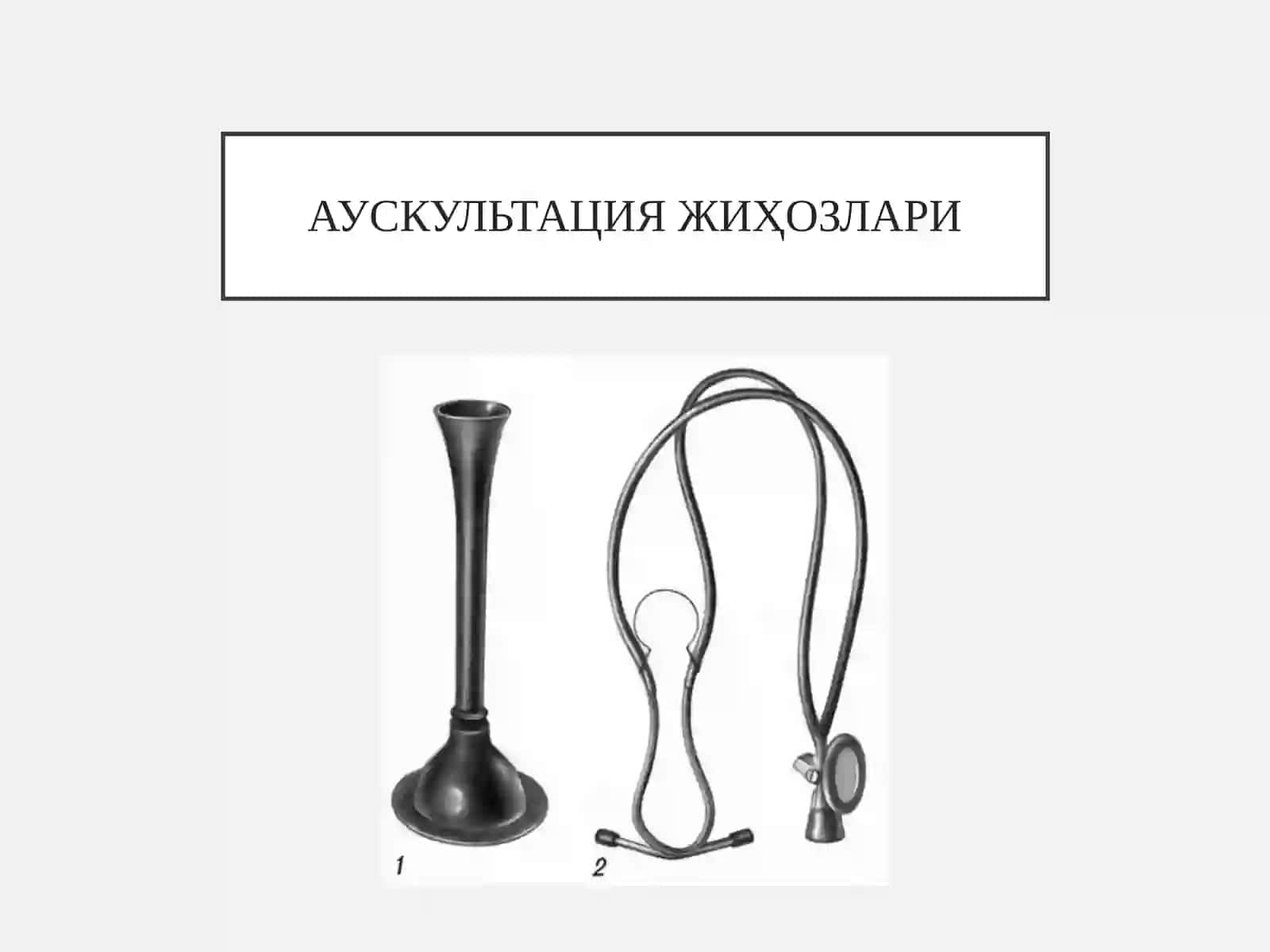 ЎПКА АУСКУЛЬТАЦИЯСИ 3