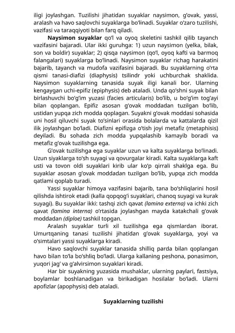 Ostiologiya 3