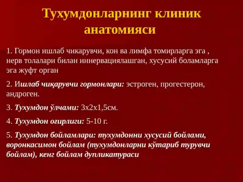 Тухумдон киста ва кистомалари 3