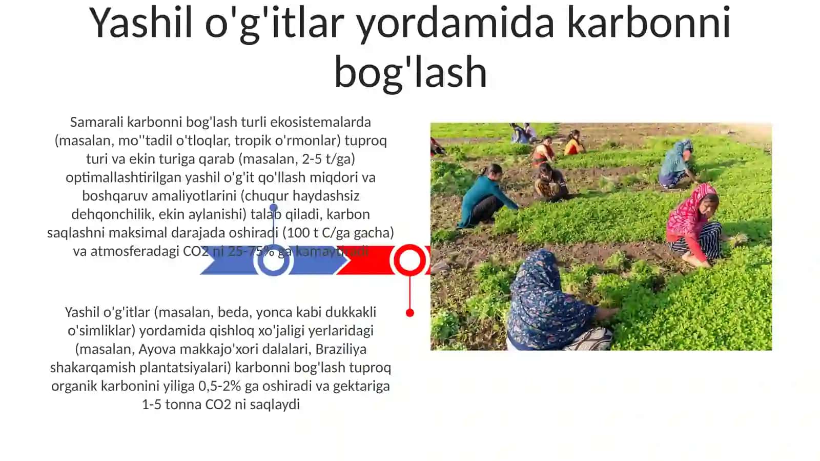 Yashil o'g'it 3