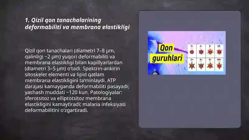 Qizil qon tanachalarining adaptiv xususiyatlari 3