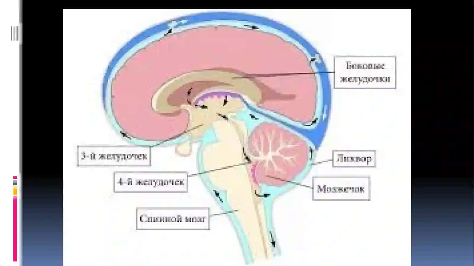 ЖАРОХАТ МЕХАНИЗМИ 3