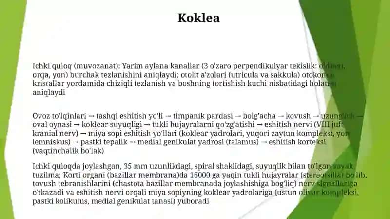 Eshituv va muvozanat a'zolari 3