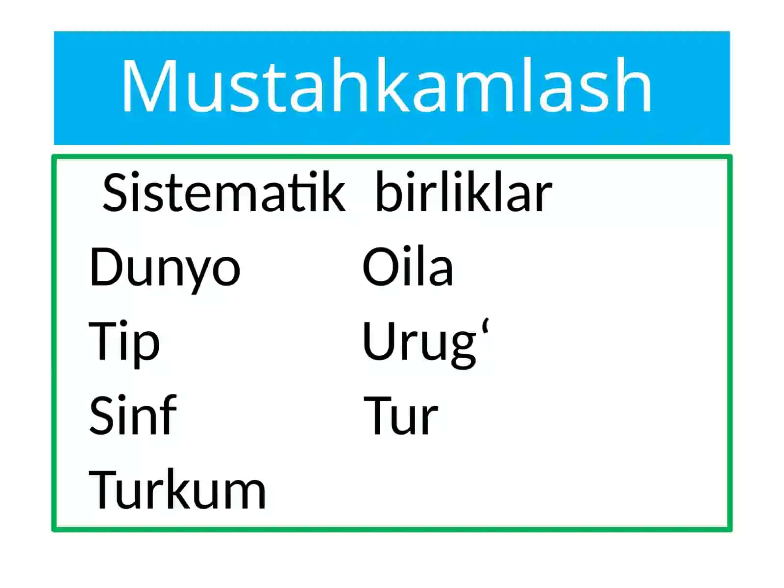 Umurtqasiz hayvonlar 3