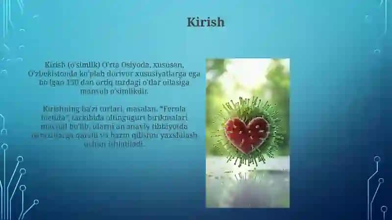 Immunitetning ta'rifi 3