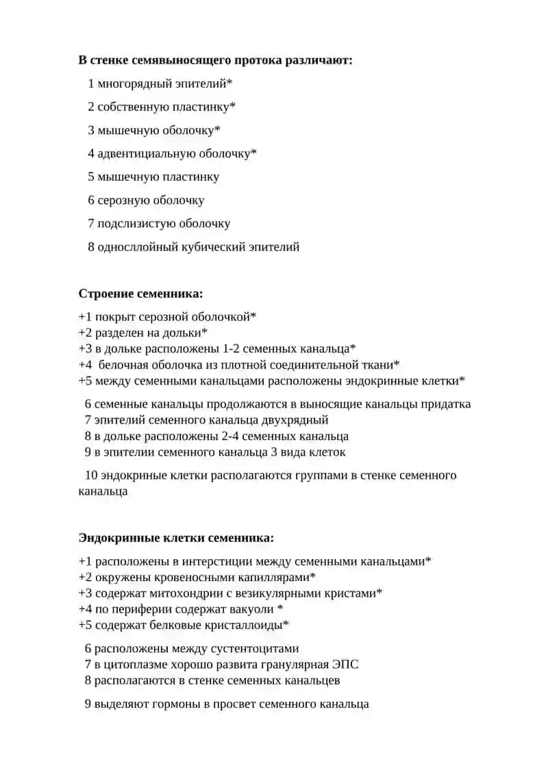 Мужская половая система 3
