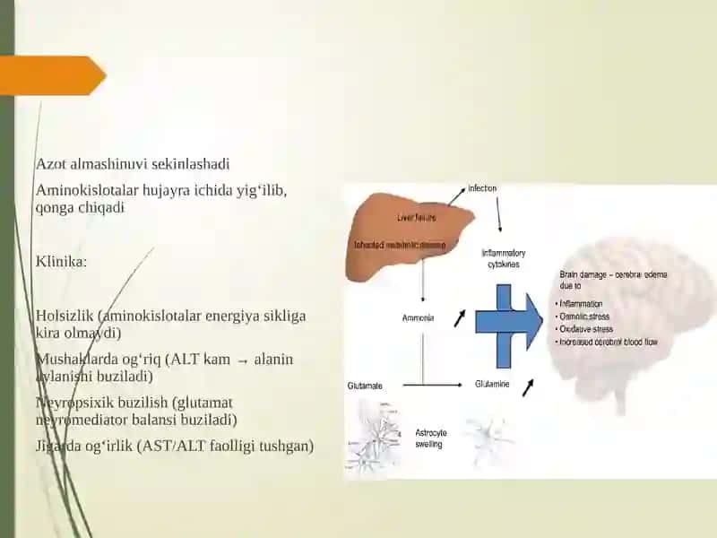 Giperammoniyemiyat urlari, tashxis qo'yishdagi klinik ahamiyati 3