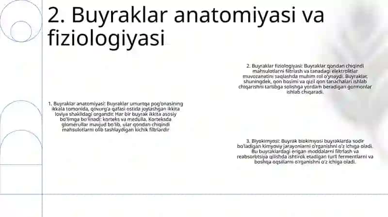 Buyrak Biyokimyosi 3