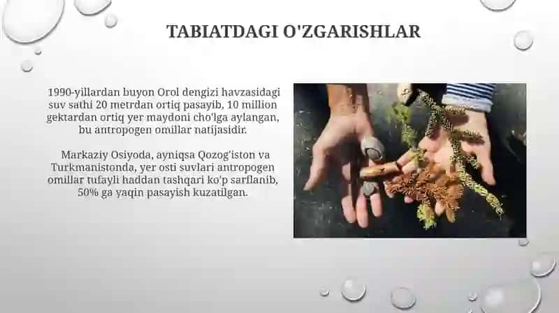 Tаbiаtdа аntropogen omilning roli 3