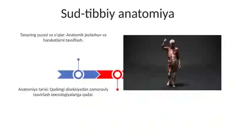 Anatomiya fanining rivojlanish tarixi 3