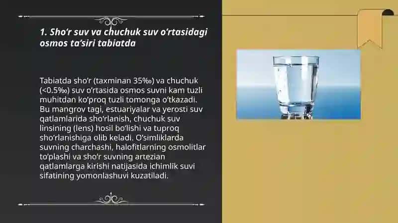 Sho'r suvga chuchuk suvga tasiri tabiy sharoitda 3