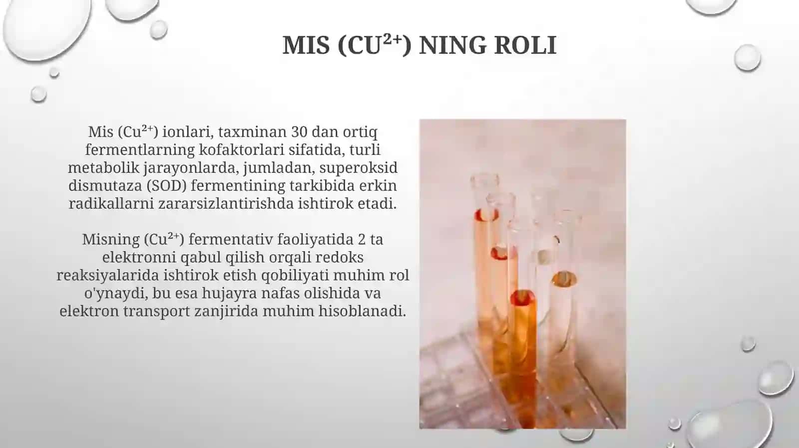 Kationlarning biologik ahamiyati 3