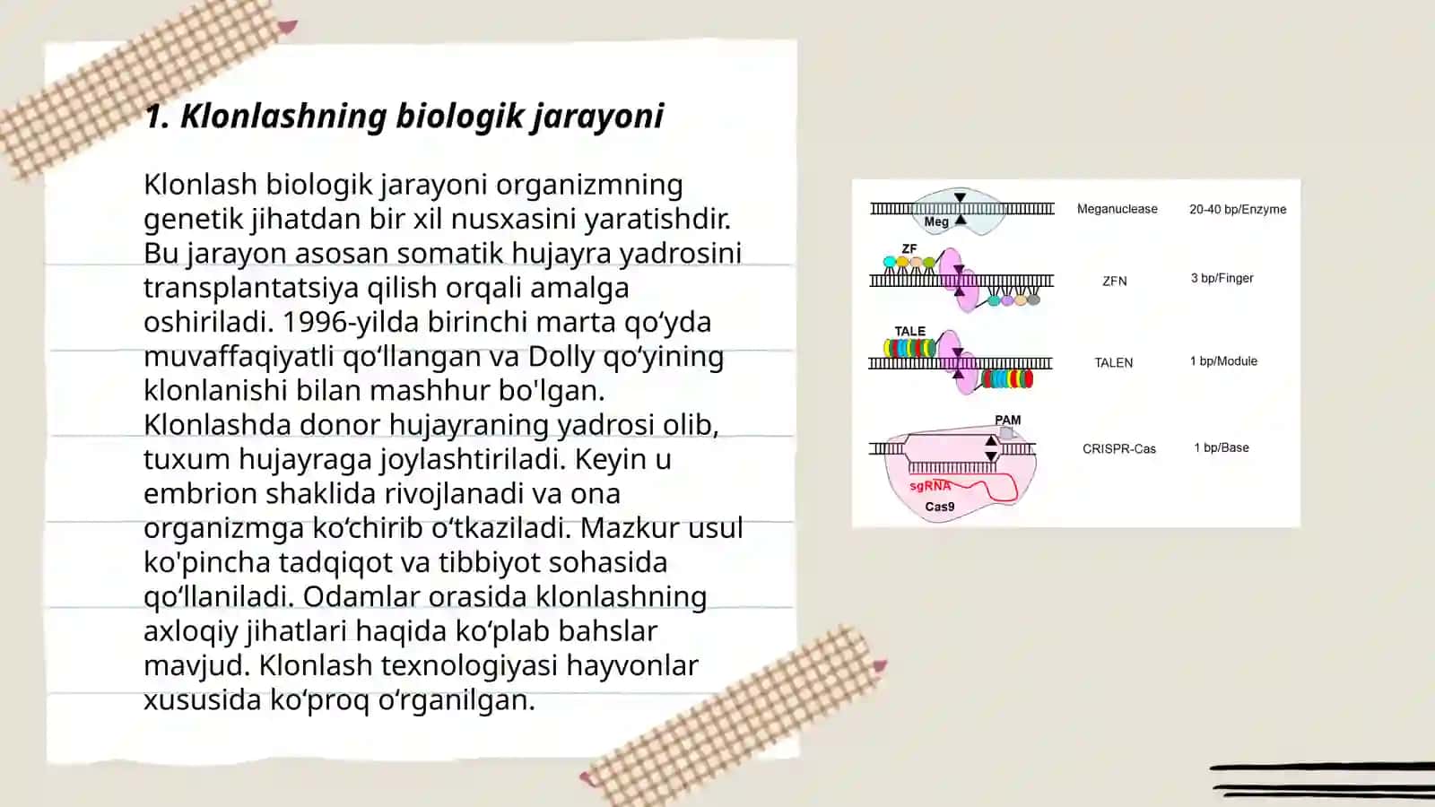 Klonlashning biologik jarayoni 3