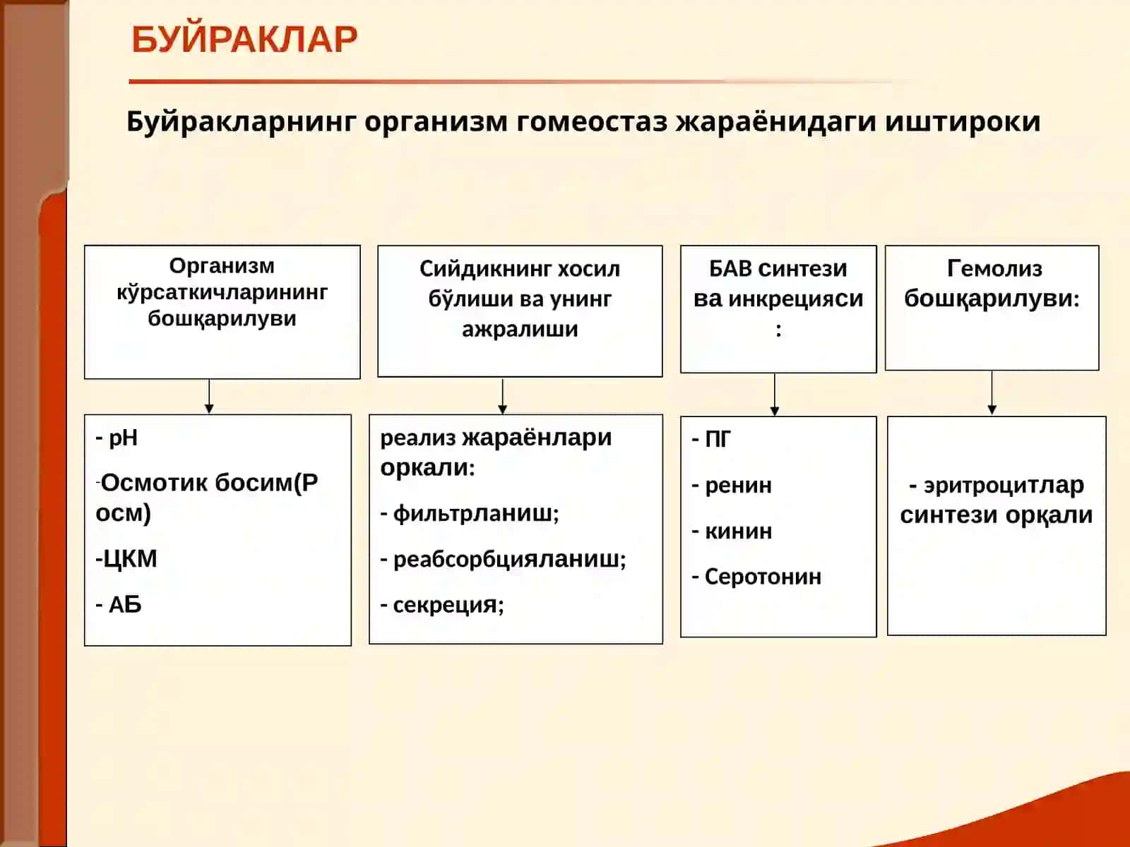 Буйрак Касаллиги Билан Оғриган Беморларни Текшириш 3