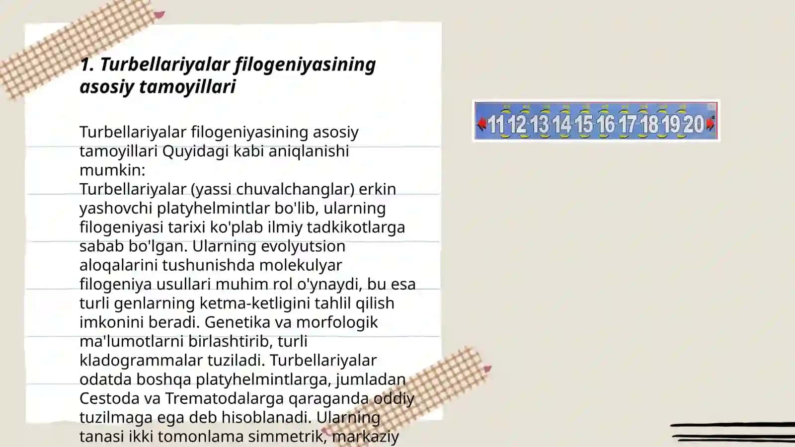 Turbellariyalar filogeniyasi 3