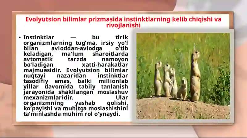 Umumiy psixologiya mustaqil ishi 3
