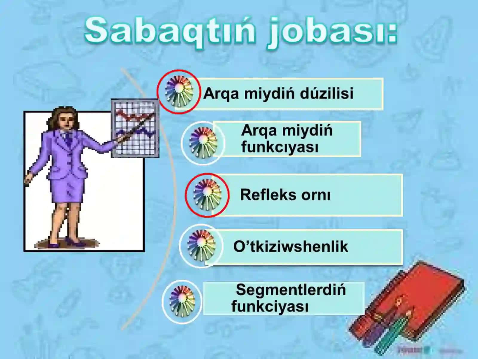 Omırtqa baġanası 3
