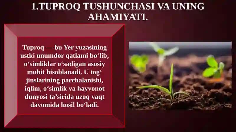 Tuproq va uning tabiiy xususiyatlari 3