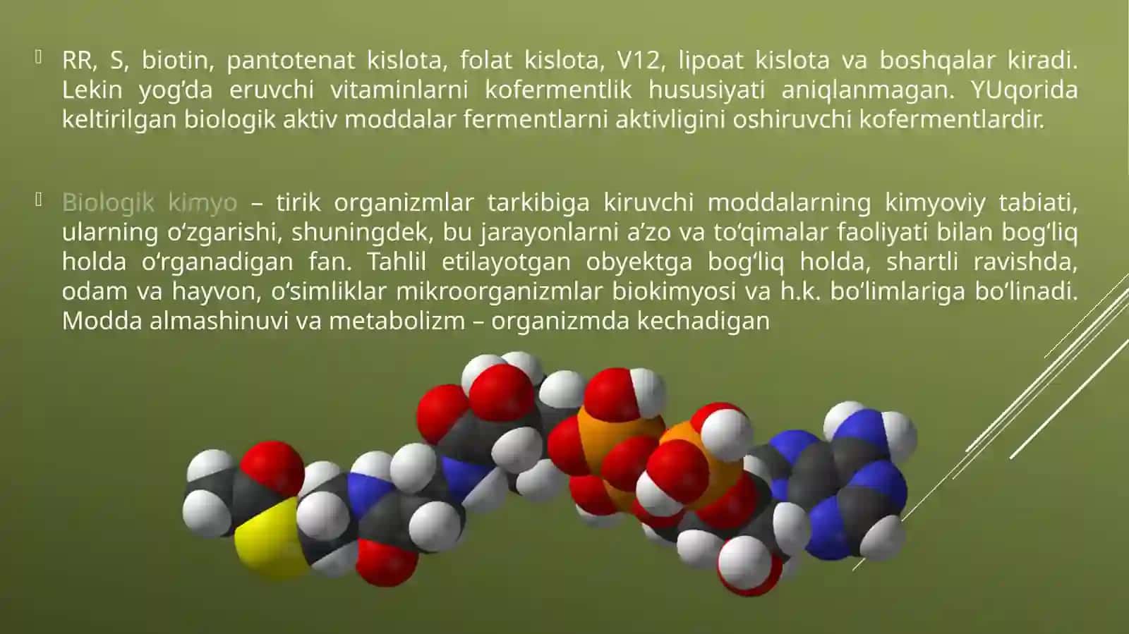 Kofermentlar tuzilishi 3