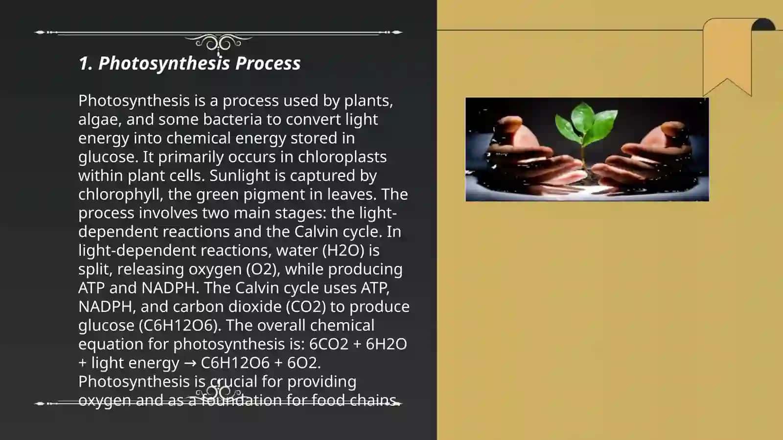 Plant formation and their environment 3
