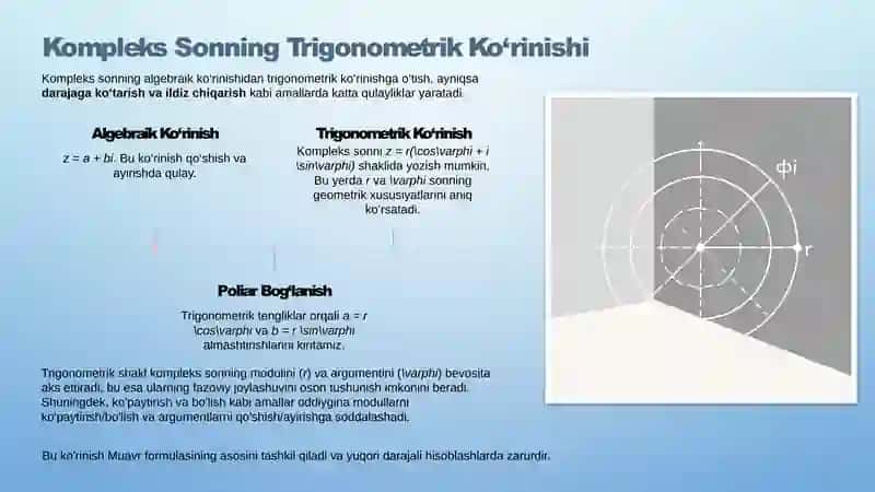 Kompleks sonning geometrik tasviri va Muavr formulasi 3