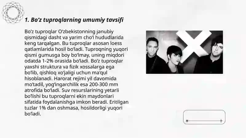 Boʻz tuproqlar va ularning tarqalishi 3