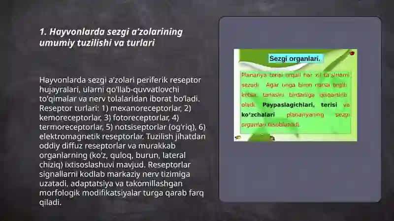Hayvonlarning sezgi aʼzolari, sensor (qabul qilish) mexanizmlari 3