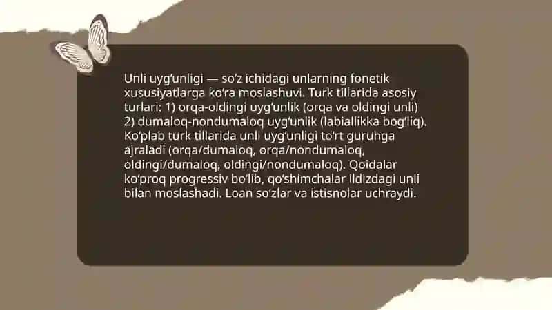 Turk tilining fonetik, leksik va grammatik xususiyatlari 3