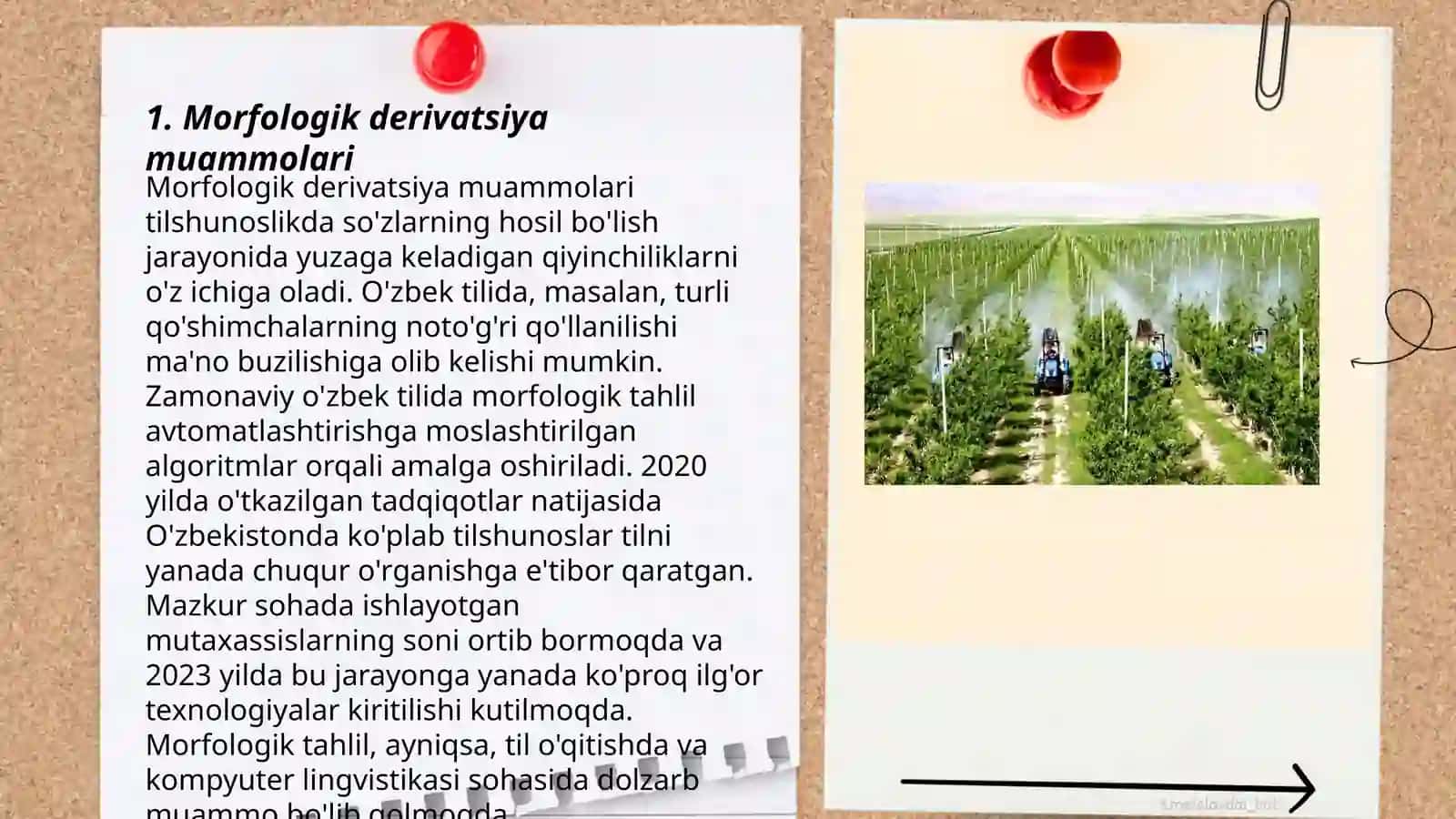 Morfologik derivatsiya muammolari 3