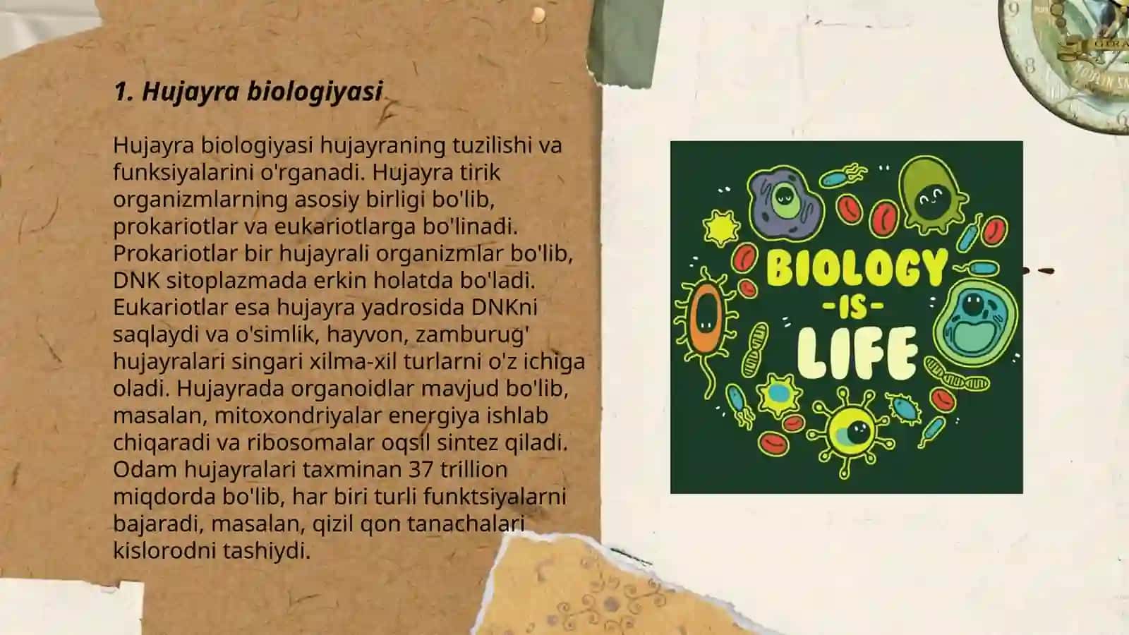 Hujayra biologiyasi 3