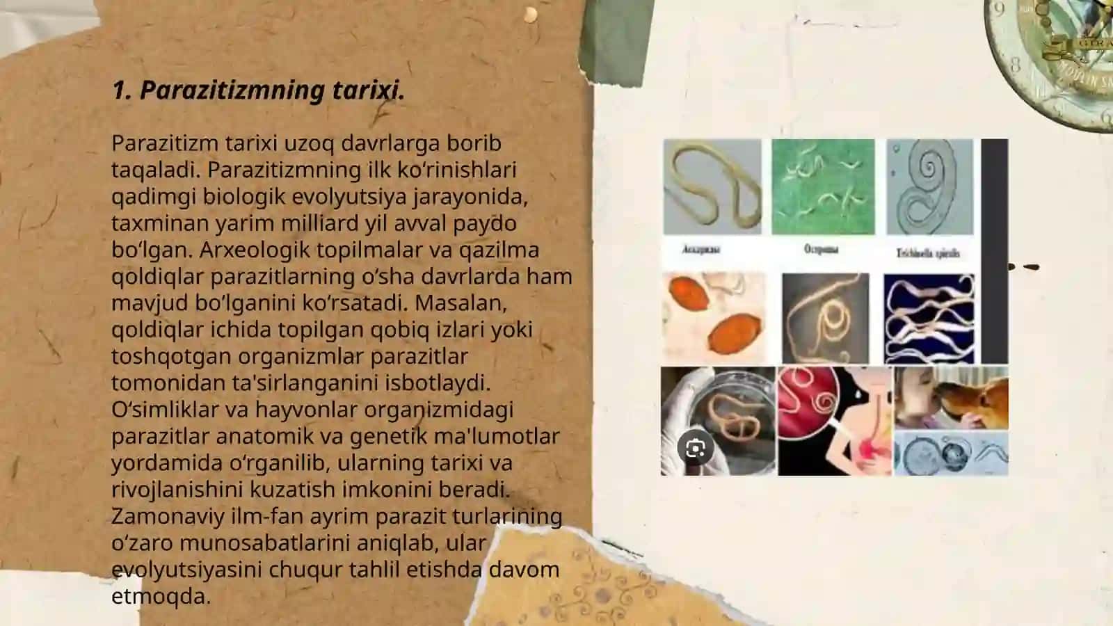 Parazitizmning kelib chiqishi 3