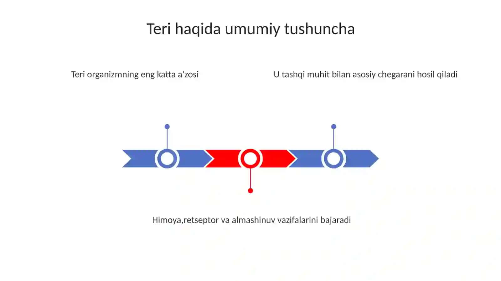 Terivauning qavatlarigistalogiyasi 3
