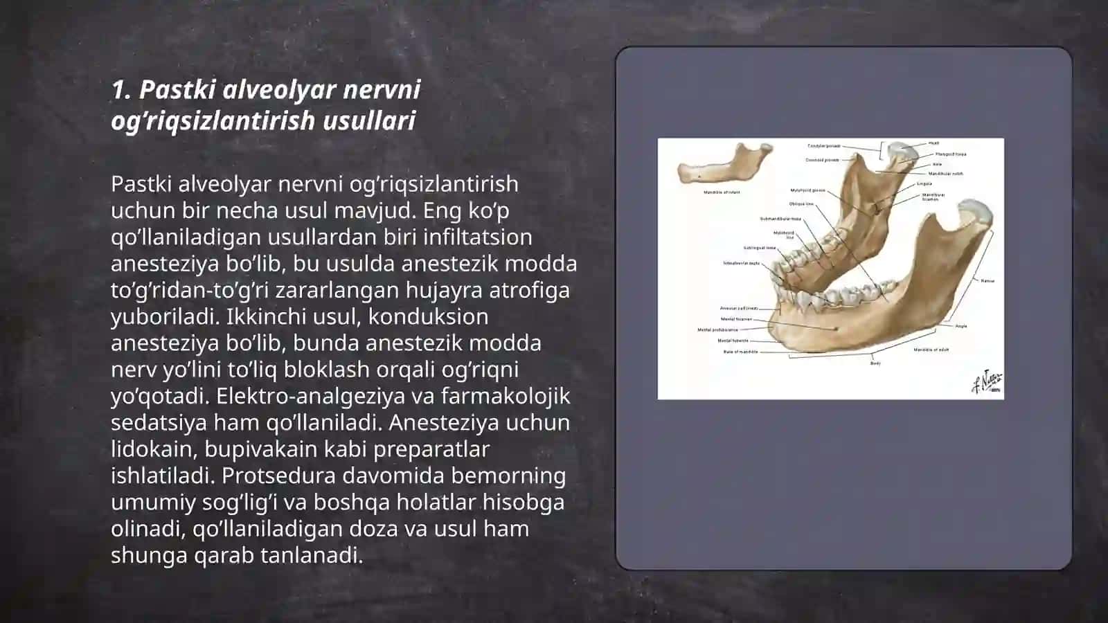 Pаstki аlveоlyar nervni оg’riqsizlаntirish 3