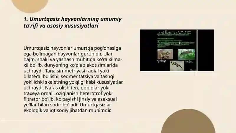 Umurtqasiz hayvonlar 3