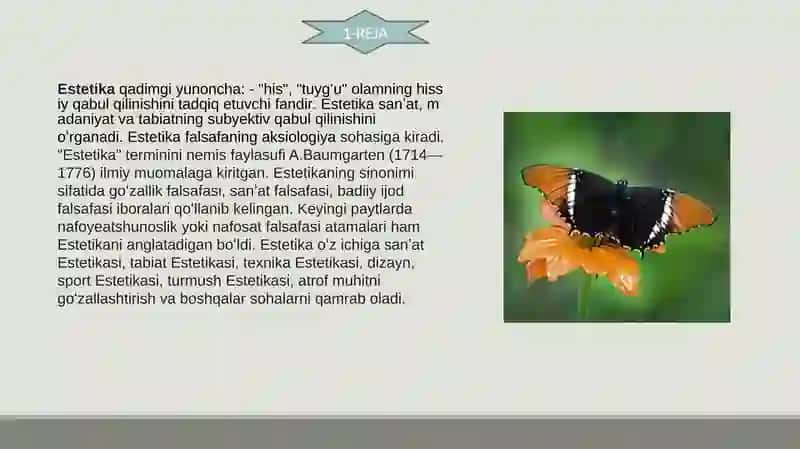 ESTETIK DID VA OLAMNI ESTETIK IDROKETISHNING SHAXS KAMOLOTIGA TA’SIRI 3