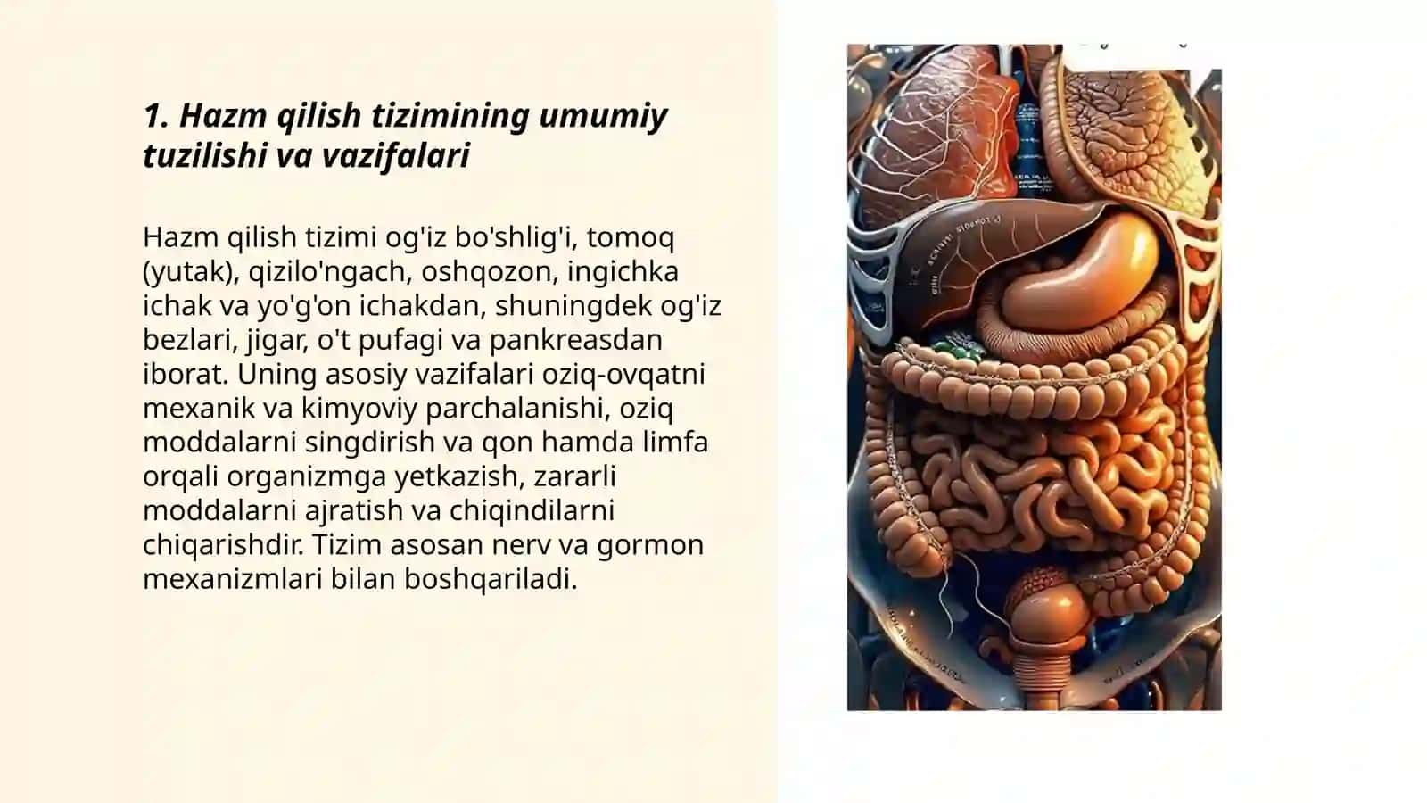 Hazm qilish tizimi 3