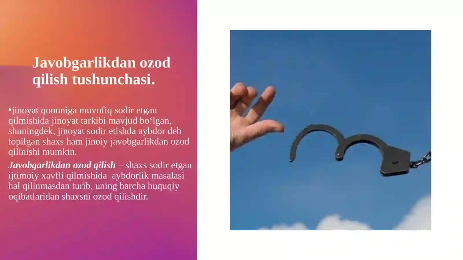 Javobgarlikdan o'zod qilish tushunchasi va turlari 3