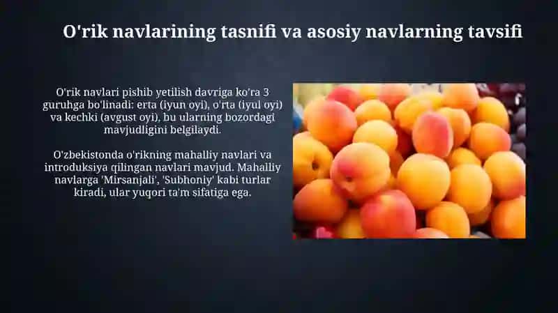 O'zbekistonda yetishtiriladigan o'rik navlari 3